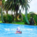 푸른푸드제주 | 제주 수영장 카페 추천｜서귀포 오션뷰 카페 하라케케 내돈내산 후기 (아이와 물놀이까지)