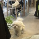 부흥로351번길 이미지