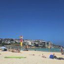 파란바다약국 이미지