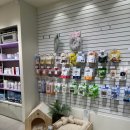 우리집동물병원 | 성복역24시동물병원, 우리 노견 두 마리 스케일링 후기!