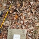 국사봉목장 이미지