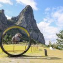 울릉푸른나무호스텔 이미지