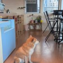 마곡역 6,2번출구 | 공항 근처 마곡역 맛집 탄탄면공방 더블랙 원그로브점 | 마곡나루역 두쫀쿠 카페 어로드사이드 방문 후기