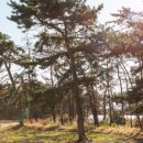 고창장호어촌체험휴양마을 이미지