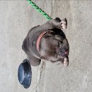 짜글이전문점 이미지