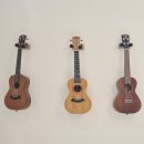 힐링악기 텅드럼과 칼림바 | 대구 우쿨렐레 칼림바 텅드럼 취미 자격증 악기 안녕우쿨렐레에서 골든 도전