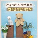 강아지정원 | 안양 셀프사진관 추천 ㅣ 아이 + 강아지 가족사진 "정원 셀프 사진고나 평촌점" 후기