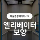 제일풍경채 더퍼스트 | [현풍 제일풍경채더퍼스트[15인승 엘리베이터 보양 시공 후기(비용·자재 총정리)