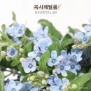 W16 • 헤어변형용 잔꽃 종류 리뷰, 잔꽃 사용 후기 ①