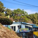 아드리아 | 겨울바다 창원여행 대밭횟집 아드리아리조트카페 방문 후기