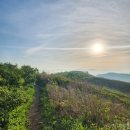 번암무룡고개로 이미지