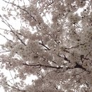 서연합의원 이미지