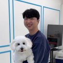 킨더퍼피 이미지