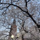 구덕초등학교 이미지