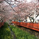 여좌천거리 이미지