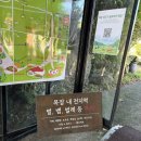 미소목장 | 제주 아침미소목장 카이막 후기