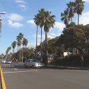 제주공천포전지훈련센터 주경기장 이미지