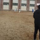 삼학초등학교 이미지