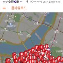로드플라워