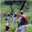 원적사 - 1773 | 원적사