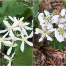 한북정맥 7 이미지