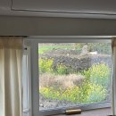 마드레한동 이미지