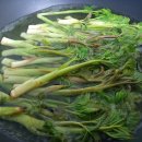 명이농장 이미지