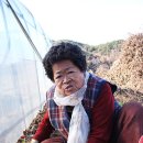 목골 이미지