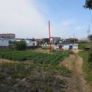 읍내동 197-4 이미지