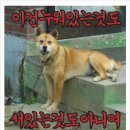 일소일소