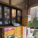 내돈내산 부평 카페 아크 망고빙수 후기/카페 아크 주차/인천 부평 생망고빙수/부평빙수맛집/서이추 환영