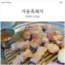 가윤흑돼지