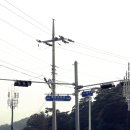 백암남자 이미지