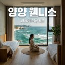 모아나스테이 | 포타라카 낙산 비치 웰니스 양양 숙소 추천 요가 명상 힐링 가이드