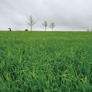 경석농장 이미지