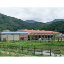 화악산유통
