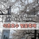 (주)타이어백화점 가장지점 | 2026 석촌호수 벚꽃축제 일정·개화 상황 실시간 후기! | 서호 vs 동호 명소 추천 야경 꿀팁