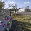 강아지살롱 이미지