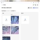 Y.B헤어 | 압구정 두피관리 AI두피진단+엑소좀 줄기세포 후기 퀸슈가링왁싱 강남 압구정