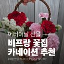 어버이날 꽃 추천 빌프랑｜후회 없었던 카네이션꽃바구니 솔직 후기