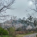 마두경희한의원 이미지