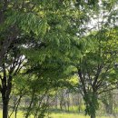 아저씨돈까스 이미지