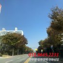 월봉4로 이미지