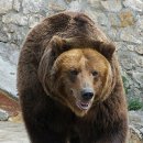 아름다운기억 이미지