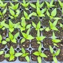 동처농장 이미지