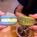 이니스마카롱 | 마카롱 덕후의 최근에 먹은 마카롱 후기 😋