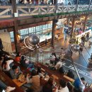 더티트렁크 이미지