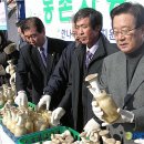 노은초 수상분교 이미지