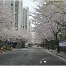 부동산114우리공인중개사사무소 | 경기도의 안전한 부동산 거래: 권선자이e편한세상에서 신뢰할 수 있는 공인중개 경험