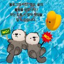 (주)더블소프트 | [부산 서면 디저트 내돈내산] 롯데백화점 부산본점 고디바 더블초콜릿 소프트 아이스크림 솔직후기